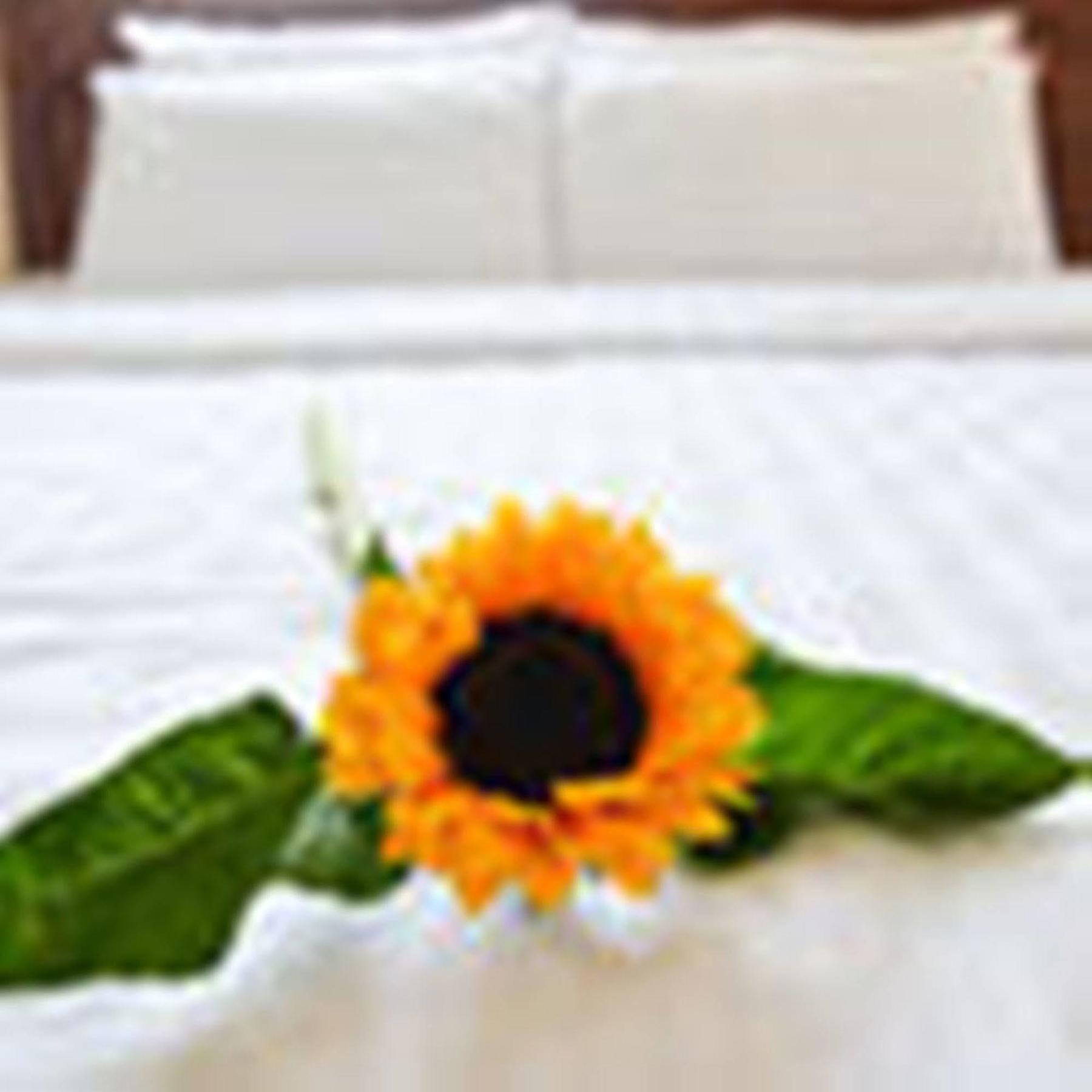 Fulmar Hotel Дананг Екстериор снимка